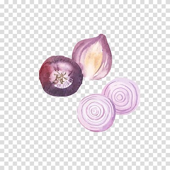 Onion Watercolor painting Food, Hand-painted purple onion transparent background PNG clipart
