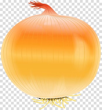 Onion , Yellow onion transparent background PNG clipart