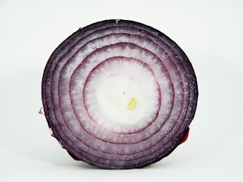 OnionEF_0855.jpg
