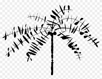 Onlinelabels Clip Art - Coconut Tree Clip Art