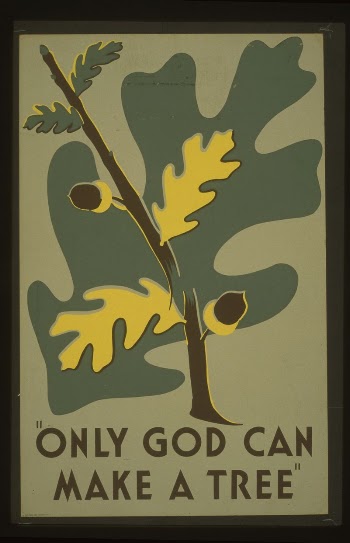 "Only God can make a tree" | Free Photo - rawpixel