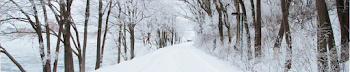 Ontario Winter Getaway Offers | 400 Eleven
