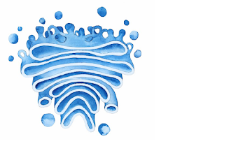 Op-Ed: Vote for Golgi Apparatus for Best Organelle