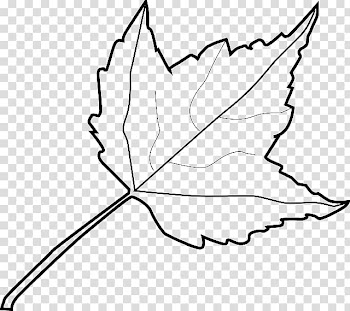 Open Autumn leaf color, Leaf transparent background PNG clipart