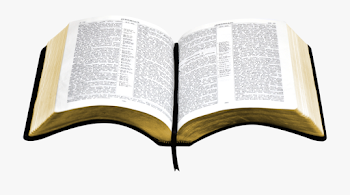 Open Bible Png - Bible Png #135390 - Free Cliparts on ClipartWiki