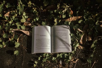 Open Book Lying on Ground