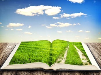 Open book of nature with way