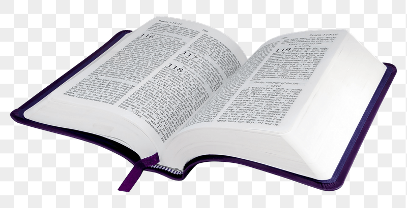 Open book png sticker, transparent | Free PNG - rawpixel