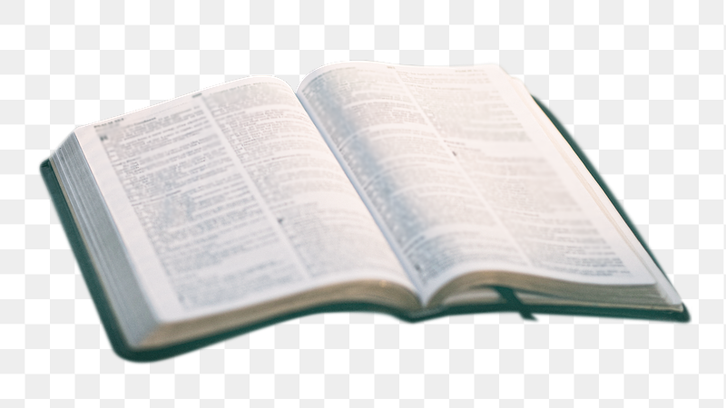 Open book png sticker, transparent | Free PNG - rawpixel