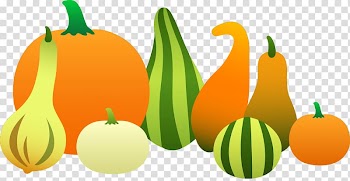 Open Gourd Pumpkin Squash, pumpkin transparent background PNG clipart