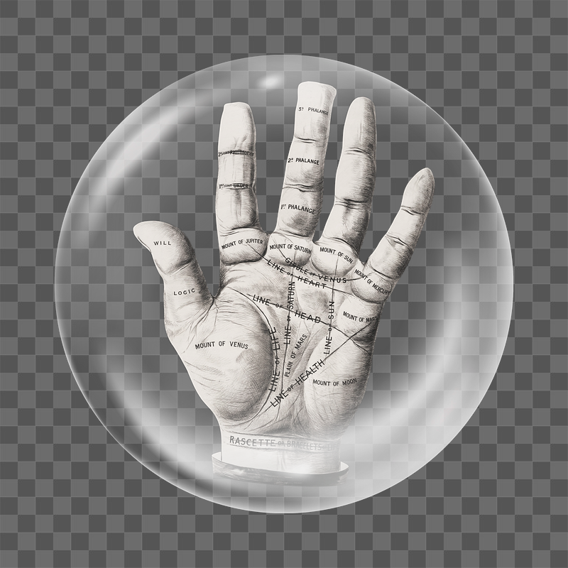 Open hand png palm reading | Free PNG - rawpixel