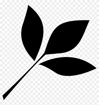 Open - Leaf Icon Png Black