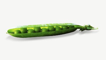 Open pea pod collage element | Free PSD - rawpixel
