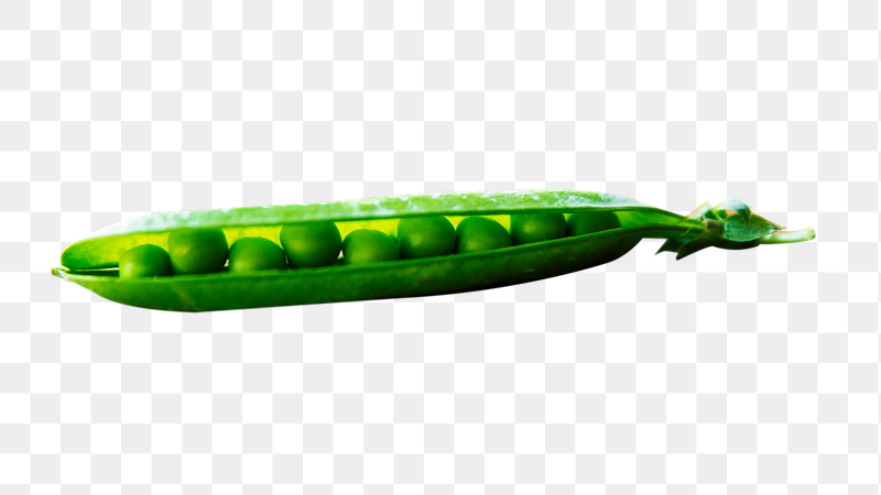 Open pea pod png sticker, | Free PNG - rawpixel