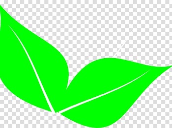 Open Portable Network Graphics graphics Free content, fig seeds transparent background PNG clipart