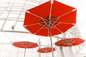 Open Umbrellas Free Photo 