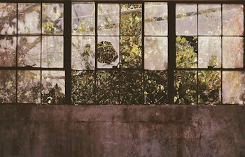 open window near tree