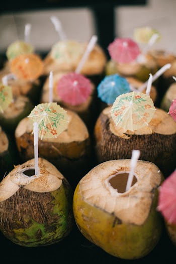 Opened Coconut Shells