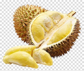 Opened durian fruit, Thai cuisine Durio zibethinus Tropical fruit Purple mangosteen, Durian transparent background PNG clipart