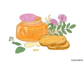 Opened glass jar of organic honey, pair of bread slices lying on plate, acacia and linden branches, clover flower isolated on white background