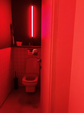 Opened Toilet