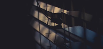Opened Venetian Blinds