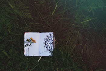 Opened White Book on Green Grass