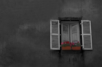 opened white louvered window on gray wall