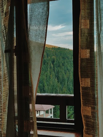 Opened Window