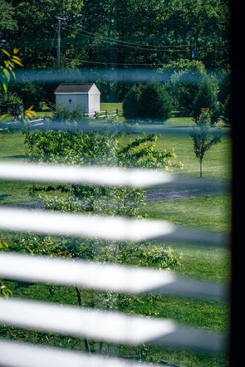 Opened Window Blinds