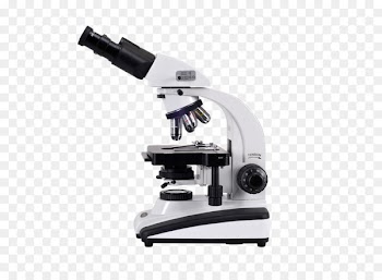 Optical microscope Light Scanning electron microscope Diagram - Microscope PNG 