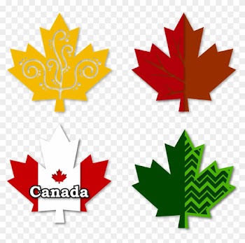 Or Decorate The Box Lid With Purchased Silk Flower - Canadian Flag Maple Leaf