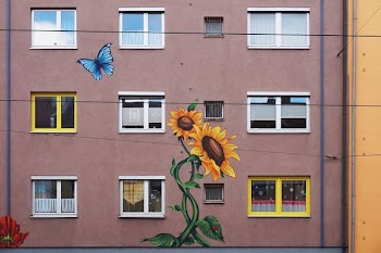 oran ge sunflower paint on building