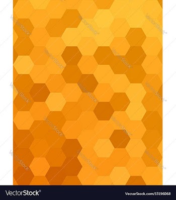 Orange abstract hexagonal honey comb background vector image