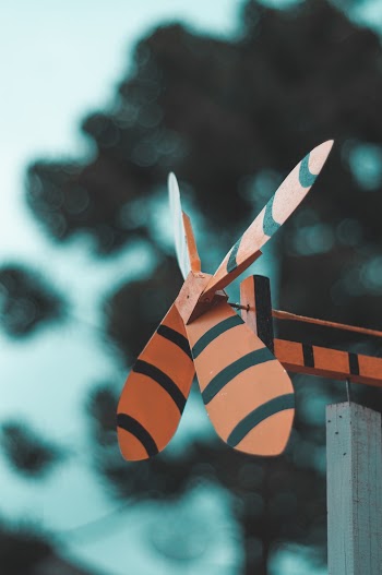 Orange and Black 4-blade Fan