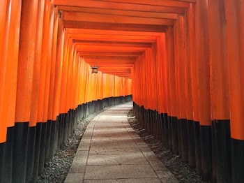 orange and black arc