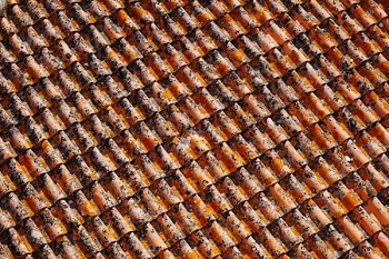orange-and-black roof shingles