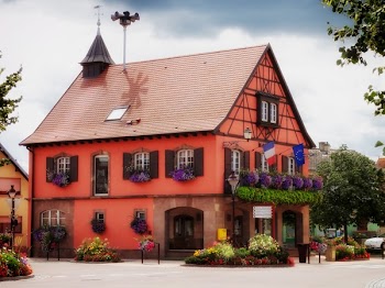 Orange and Brown House