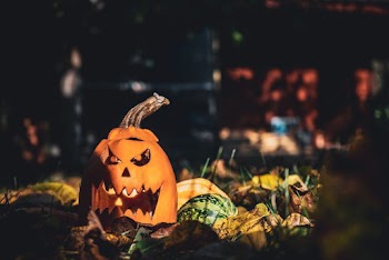 Orange and Multicolored Pumpkin Decoration