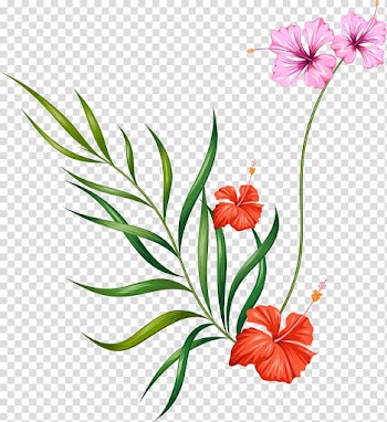 Orange and pink flowers , Floral design Flower , Flowers and green leaves transparent background PNG clipart