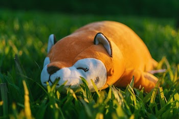 Orange and White Animal Plush Toy on Green Grasses in Focus Photography