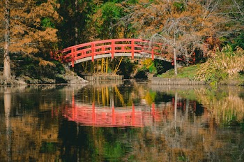 Orange and White Bridge