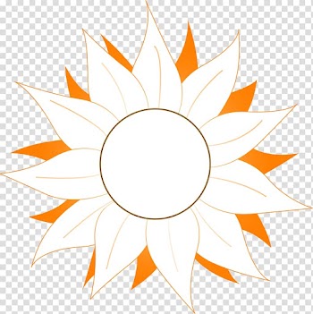 , Orange and white Gerbera transparent background PNG clipart