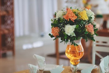 Orange and White Petaled Flowers on Vase