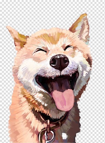 Orange and white Shiba inu painting, Akita Cat Husky Pet Illustration, Happy Husky material transparent background PNG clipart