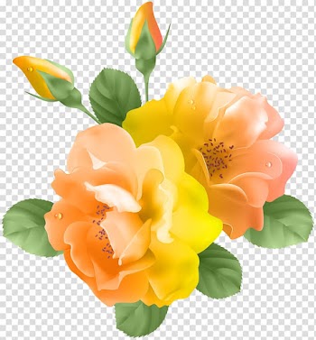 Orange and yellow rose flowers, Purple Rose Tom Baxter , Yellow Orange Rose transparent background PNG clipart