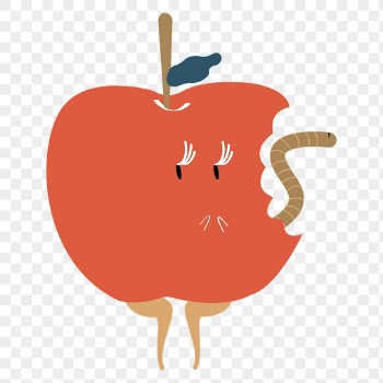 Orange apple png sticker, cute | Free PNG - rawpixel
