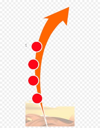 Orange Arrow Illustration - Orange arrow 