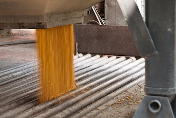 Orange Beans Dropping from Machine