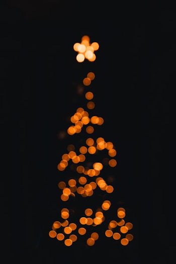 orange bokeh photography